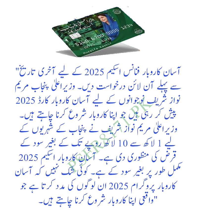 CM Punjab Asaan Karobar Card 