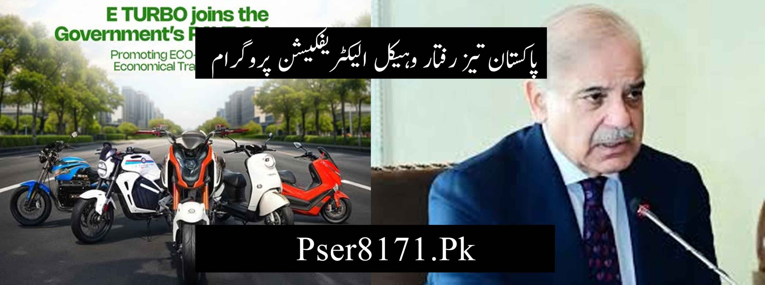 Pakistan Accelerated Vehicle Electrification Program