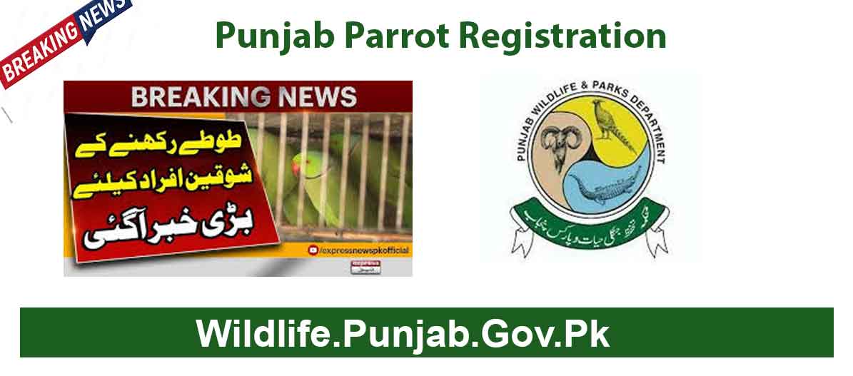 Punjab Parrot Registration