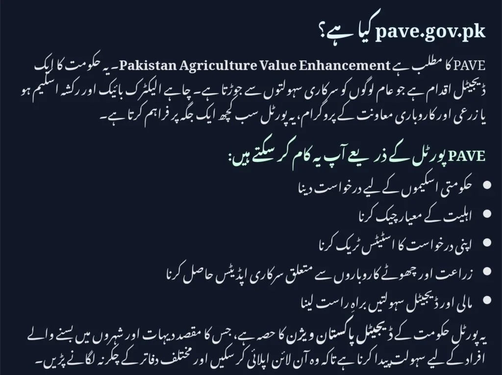 What is pave.gov.pk?