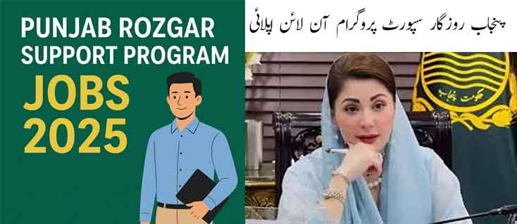 Punjab Rozgar Support Program Jobs